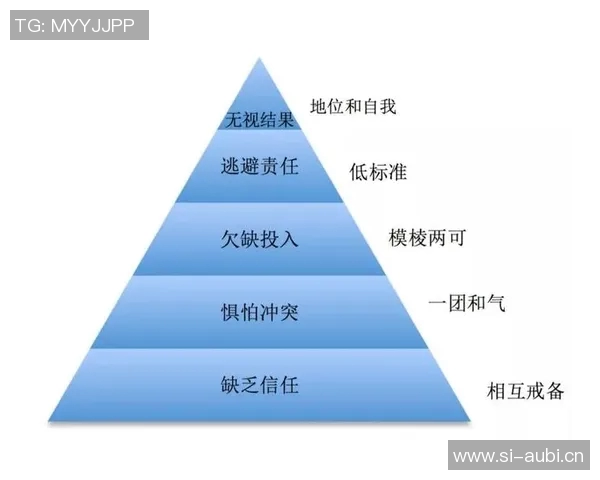 南京羽毛球队团队协作表现的数据分析与提升策略探讨